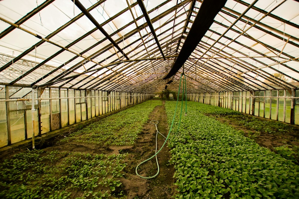 Agriculture & Agribusiness
